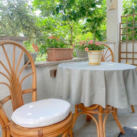 Santo Διαμέρισμα Novigrad Istria Εξωτερικό φωτογραφία
